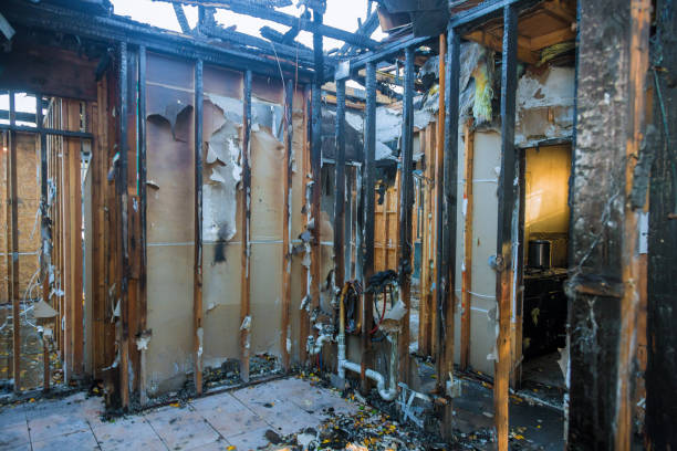 Professional Fire Damage Removal technician working in Longboat Key, FL