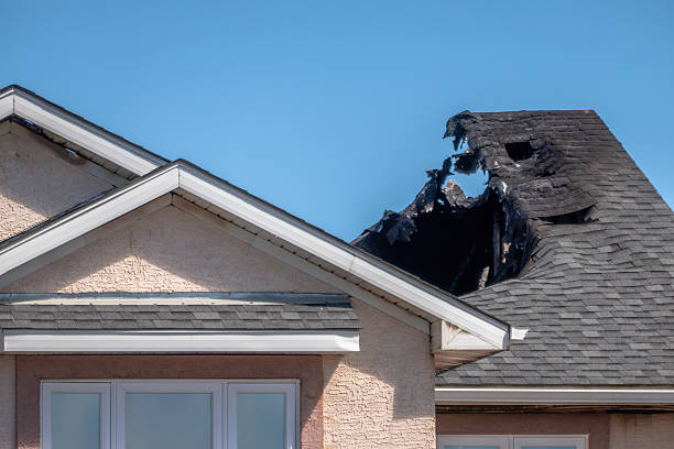 Top rated local Fire Damage Removal specialists in Longboat Key, FL